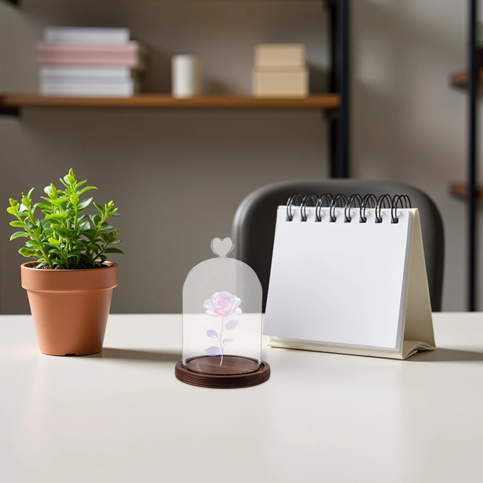 قبة زجاجية مزخرفة، قبة شفافة ممتازة لمقتنيات DIY، زهور أبدية، قطع مركزية لعيد الميلاد، عرض المكتب المنزلي #1