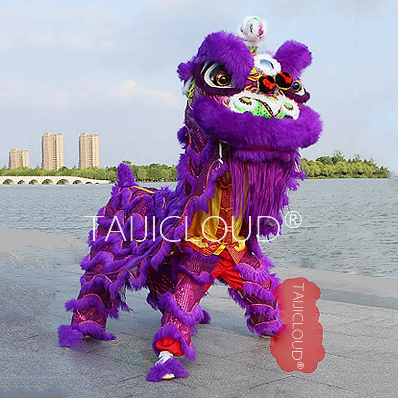 Complete Set of Lion Dance Props, South Lion Awakening, Dragon Dance Lion Clothing, Two Person Wool Clothing