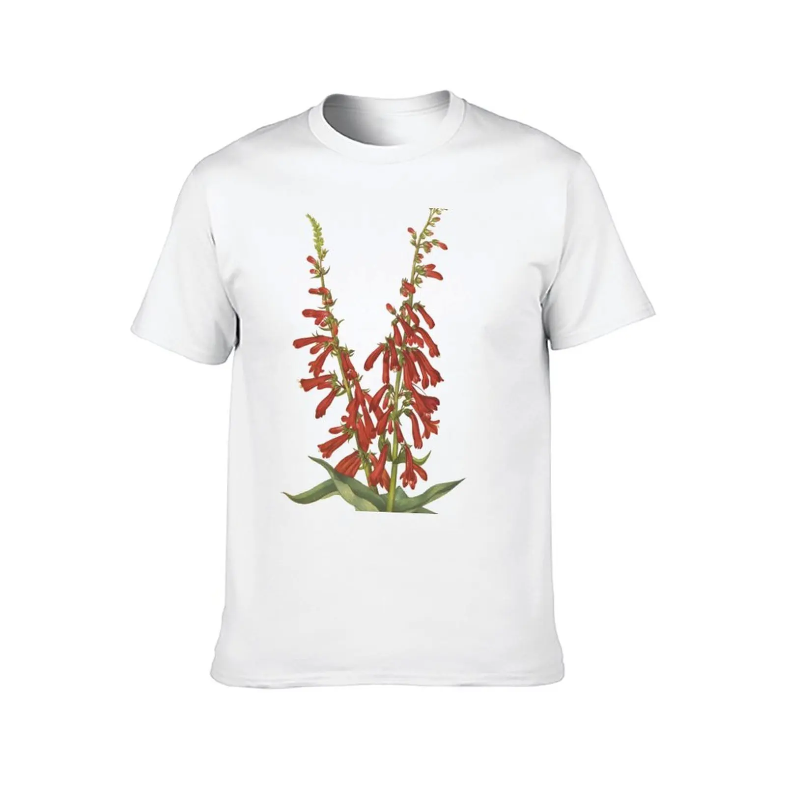 Vintage Botanical Flower Art - Firecracker Penstemon - Beardtongue - Penstemon eatonii T-Shirt plain T-shirt men