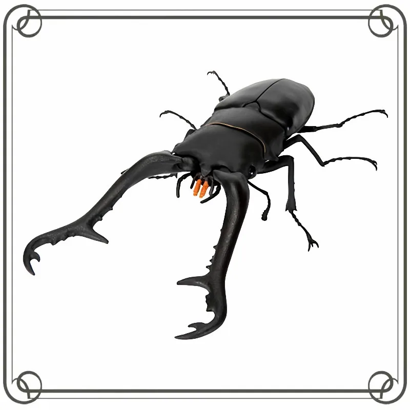 Biology Grand Library Stag Beetle Simulation Insect Gashapon Collectible Model Toy