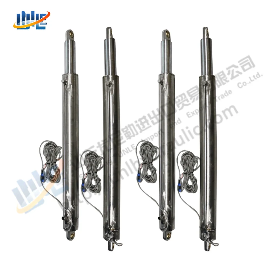 Customizable Platform Construction 316 Stainless Steel Hydraulic Yacht Lift Hoist for Boat