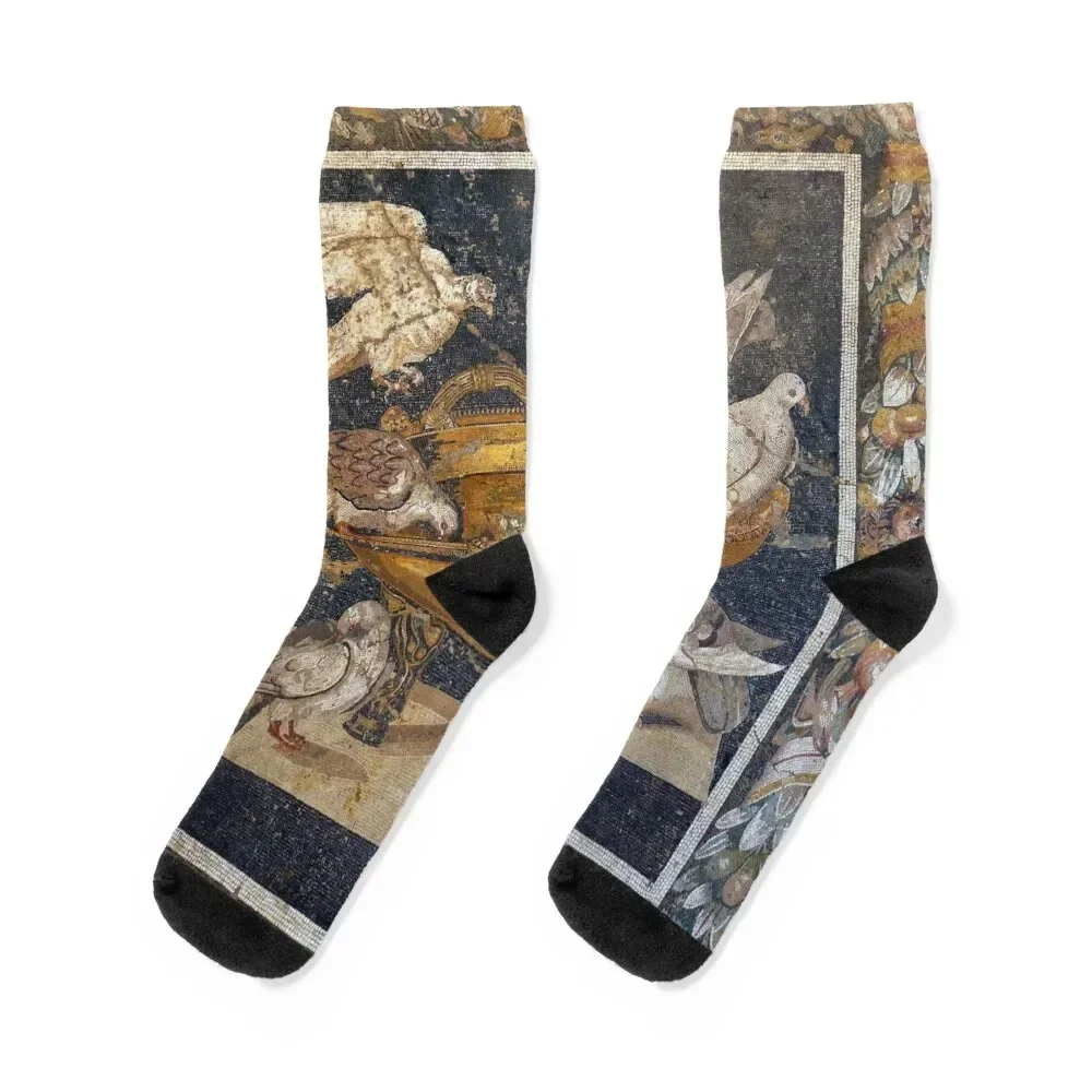 Ancient Roman mosaic Socks colored Non-slip Antiskid soccer Ladies Socks Men's