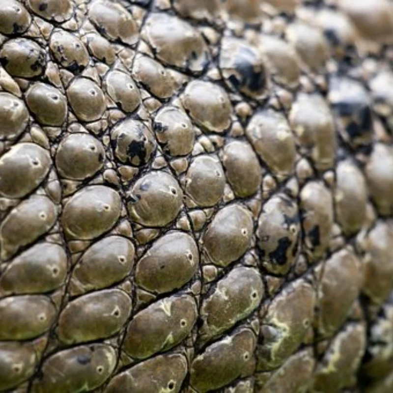 

Металлические колеса с бусинами 1,3 дюйма, 65 мм, бутиловые шины, шестигранник 7 мм для TRX4M/SCX24, 1/18-1/24, комплект обновлений на гусеничном ходу, 4 шт.