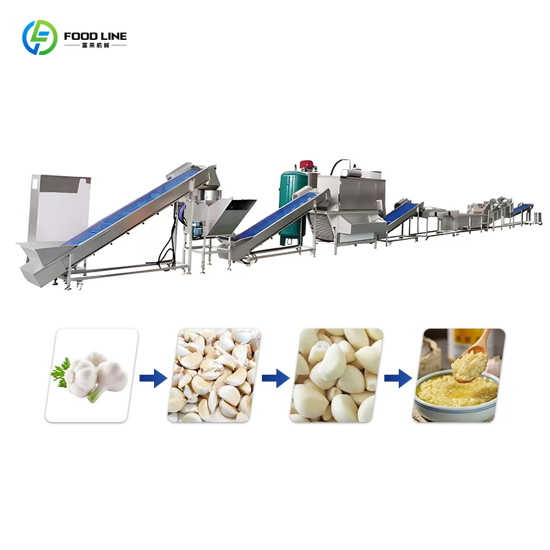 Automatic Garlic Paste Making Machine for Industrial Food Processing and High Efficiency Production Customized