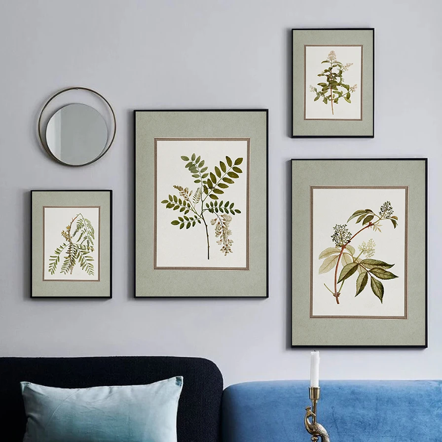 (No frame)Juego de impresiones botánicas Vintage, galería de arte de pared verde salvia silenciada, decoración temática natur