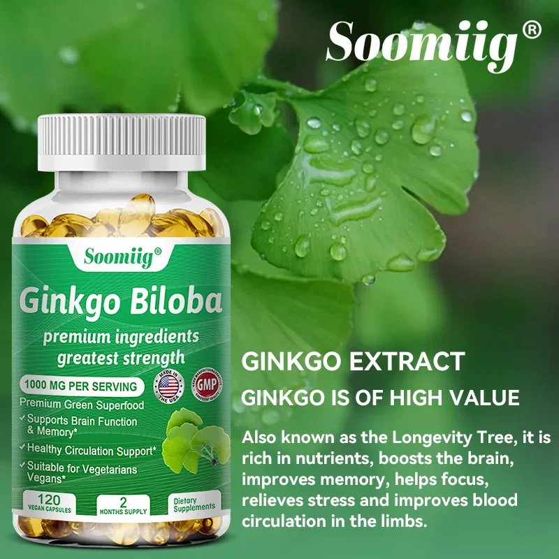 Le capsule Extra di Ginkgo Biloba organiche supportano la funzione cognitiva e la memoria, integratore alimentare per la salute generale e circolatoria