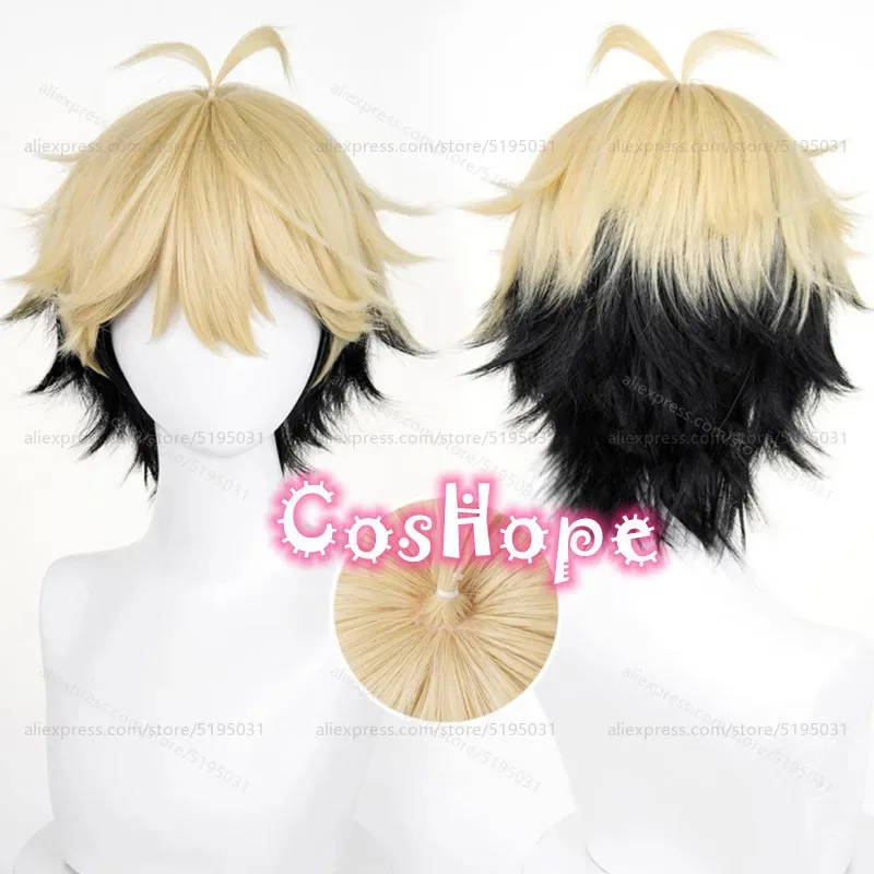 

Felix Cosplay Wig 30cm Short Light Blonde Black Mixed Wig Cosplay Anime Cosplay Wigs Heat Resistant Synthetic Wigs