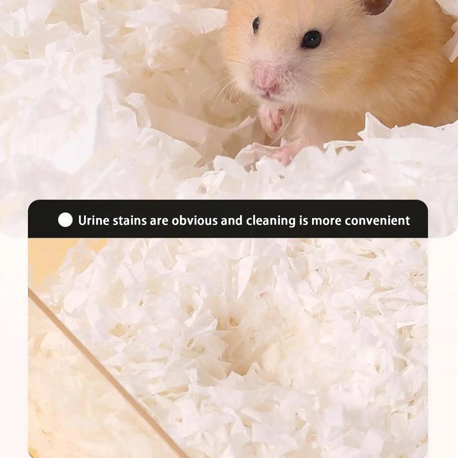 Thumbnail 4 - #12 Compare Small Animal Habitats & Cages Before You Buy