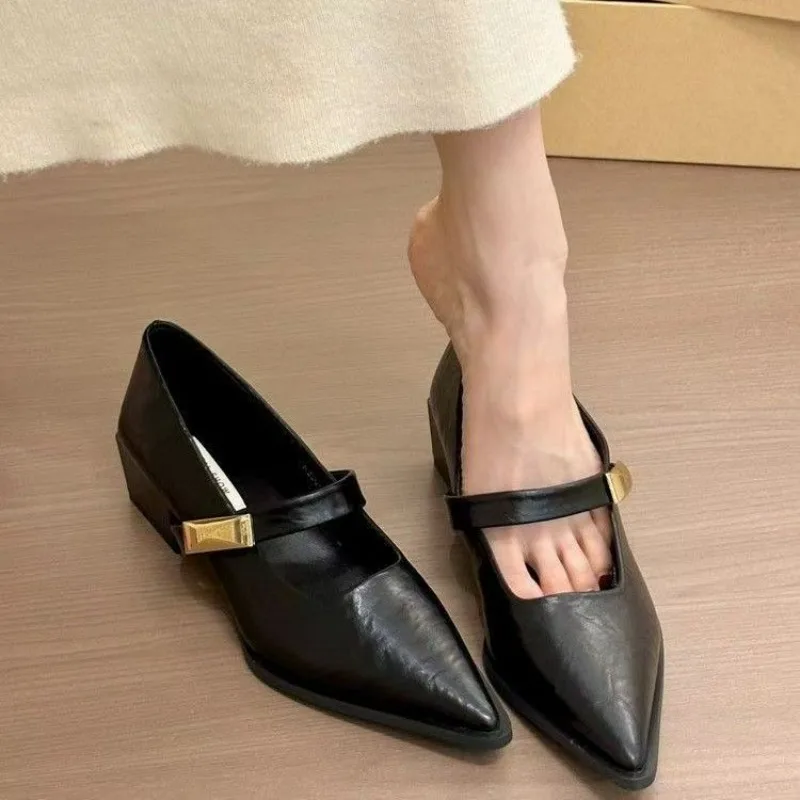 

Fashionable Pointed Toe Shallow Mouth New High-heeled Shoes Summer Sexy Elegant Casual Buckle Low-heeled Women's Shoes