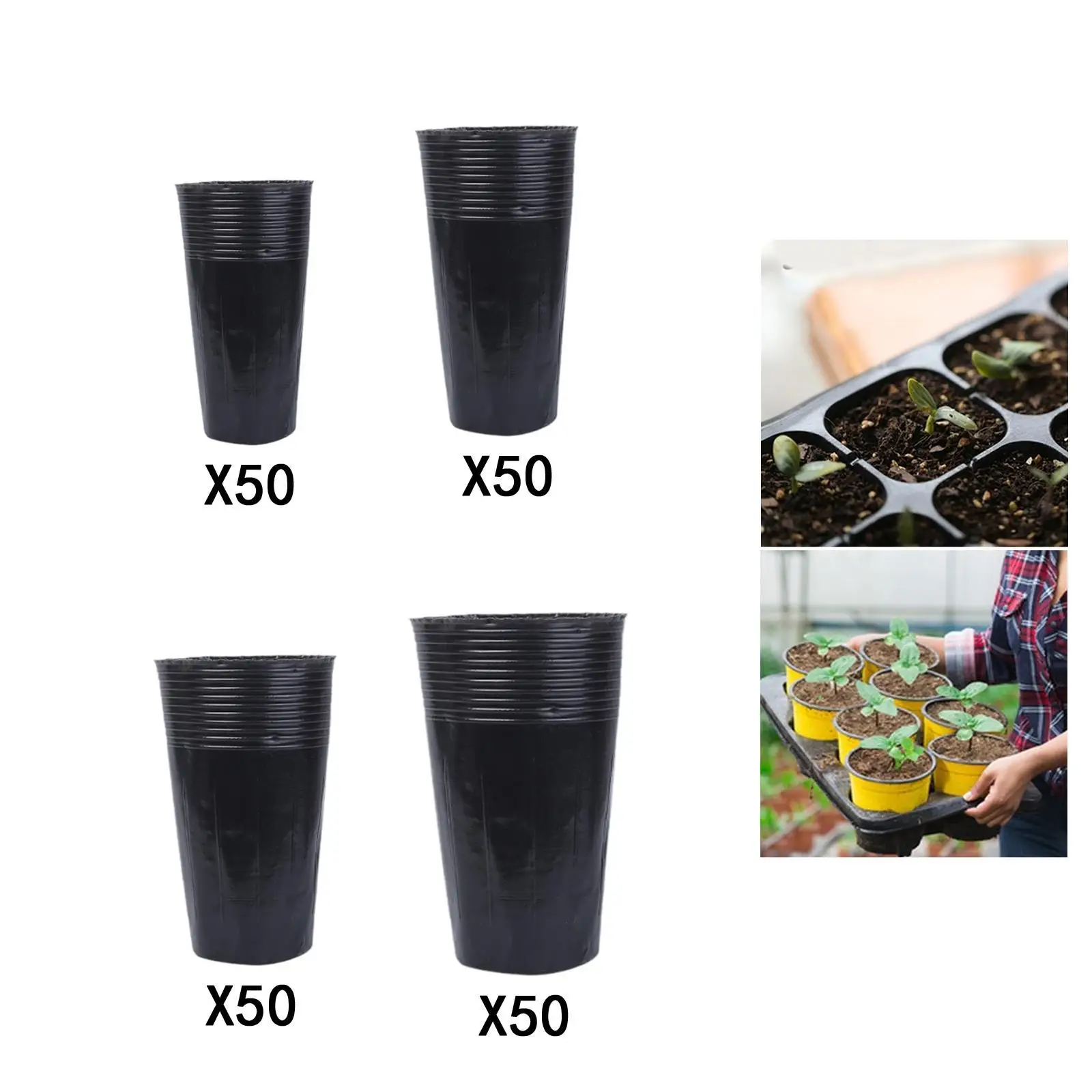 50 Pieces Plant Seedling Pots Nursery Cups for Germination Outdoor Yard