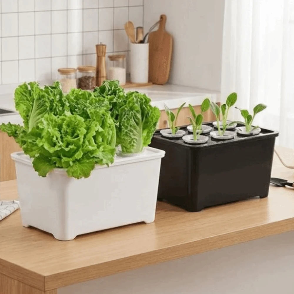 6 Holes Hydroponic Grower Kit Plastic Seedling Pots Soil-Free Planting Box Planting Container Self Watering Growing Box