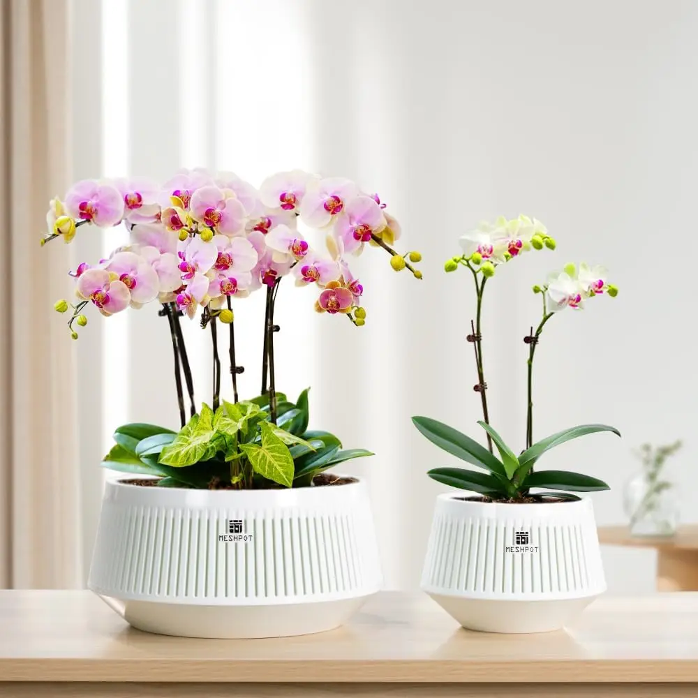 Meshpot Orchid Pot with Holes & Saucers Plant Pots for Indoor and Outdoor ,Wind-Worn Texture Cutout Promoting Air Circulation - view 6