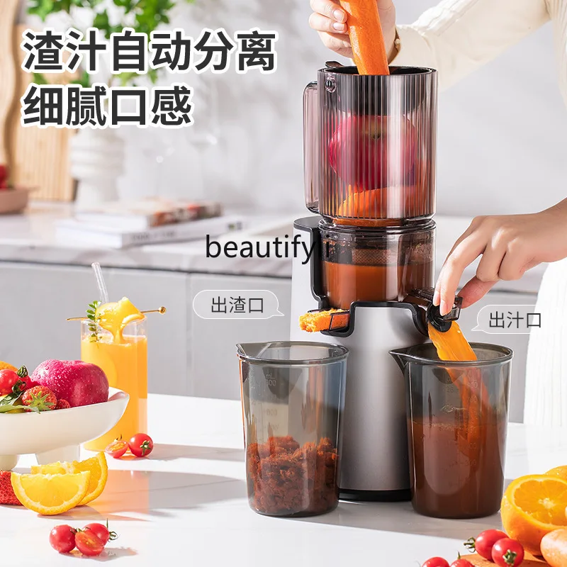 원래 주스 기계 주스 주스 잔류물 분리 대구경 자동