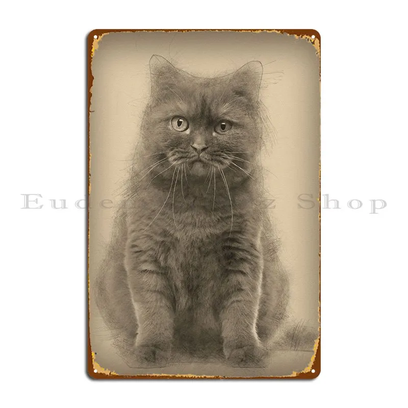 British Shorthair 20 Month Metal Sign Pub Party Create Club Tin Sign Poster