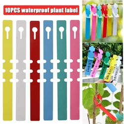 10Pcs Plant Labels Wrap Around Adjustable Plant Tree Hanging Tags Waterproof Nursery Garden Markers Reusable Flower Signs