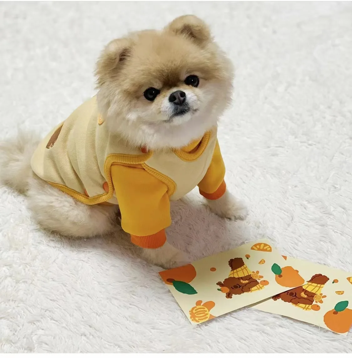 Pet Plush Vest Winter Warm Jacket One Piece Soft and Sticky Jacket Cute Embroidered Clothes Puppy Clothes Dogs Vest Dog Costume