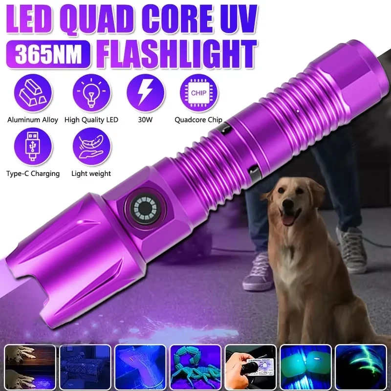 

365nm/395nm UV Pet Urine Detector - USB Rechargeable Blacklight Flashlight for Dog/Cat Stains & Bed Bugs, Stain (IP4 Waterproof)