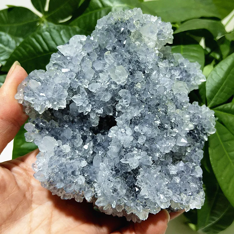 

Natural Stones Fluorite Chrysanthemum Symbiosis Crystal Cluster Specimen Feng Shui Crystal Witchcraft Energy Room Decoration