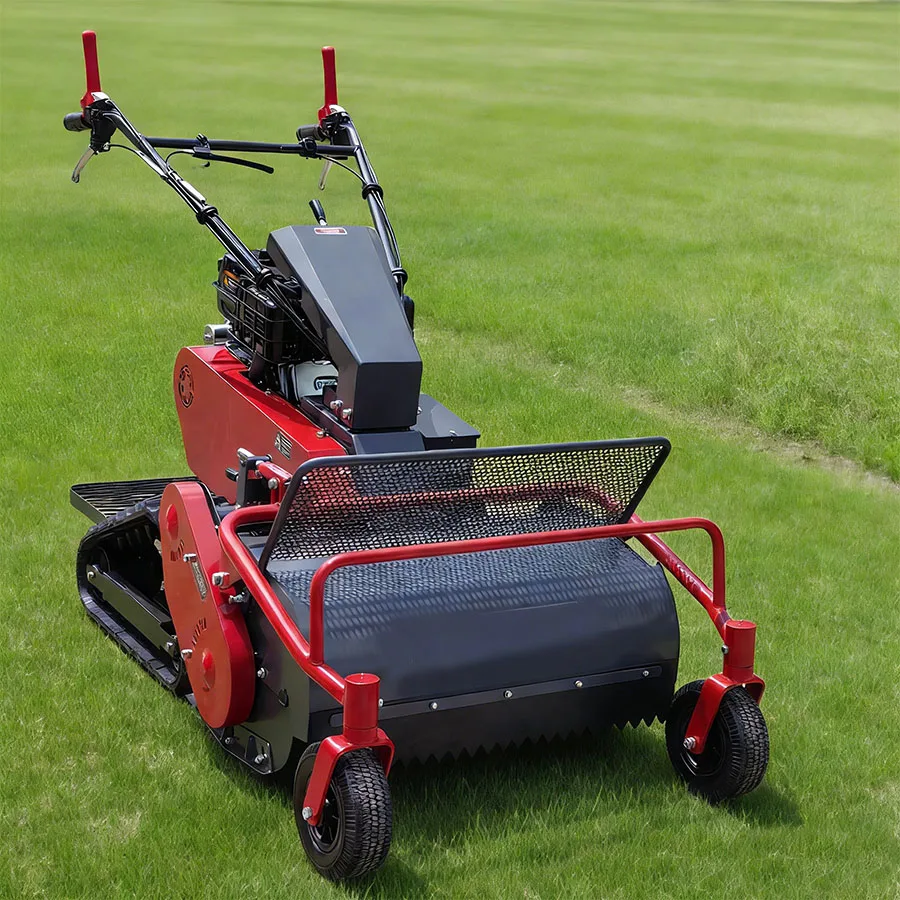 Tienu Professional Walk Behind Lawn Mower High Performance Grass Cutter for Garden Lawn and Backyard