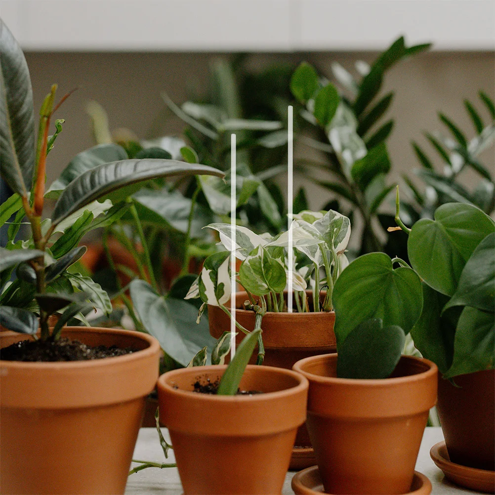 

SUPVOX 10pcs Acrylic Plant Support Stakes Garden Stem Bracket for Indoor Plants Gardening Accessory