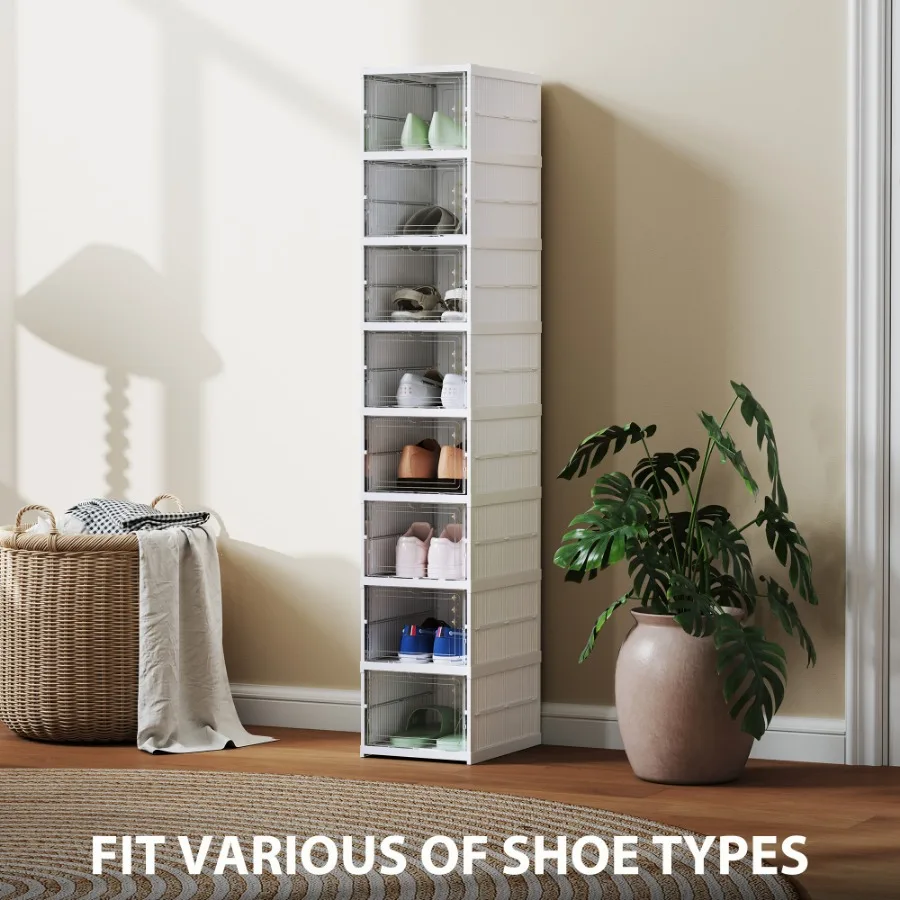 Shoe Boxes, 2026 year