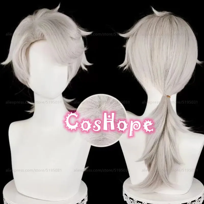 

Frederick Kreiburg Cosplay Wig 60cm Long Composer Warm Silver Wig Cosplay Anime Cosplay Heat Resistant Synthetic Wig
