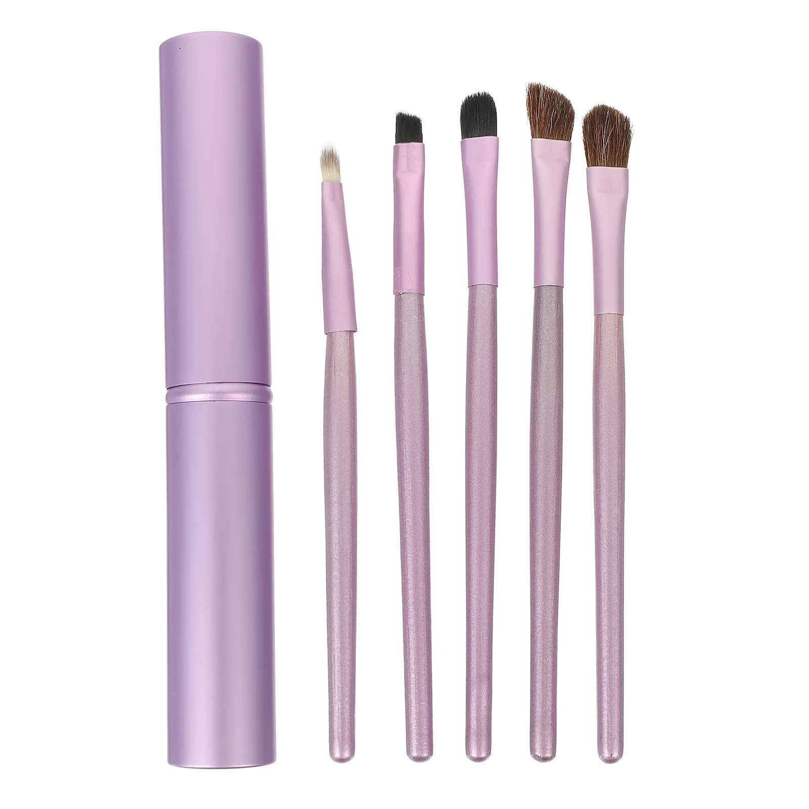 

5Pcs Eye Shadow Brush Kit Lightweight Skin Friendly Portable Makeup Tools Lip Brush Brushes for Women Eye Makeup