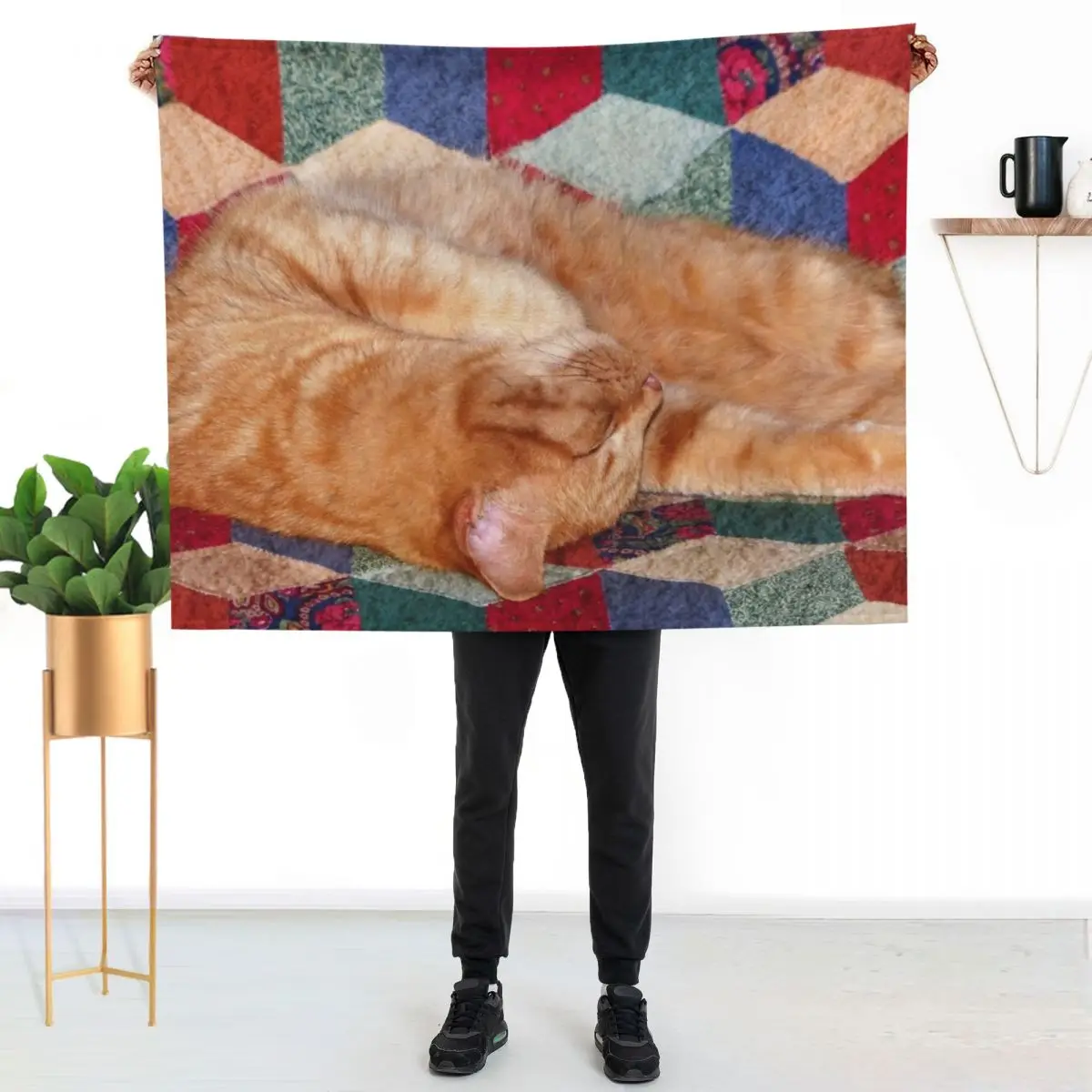 Ginger Cat Napping Throw Blanket Soft Plush Plaid Bed Multi-Purpose for winter wednesday For Sofa Thin Blankets