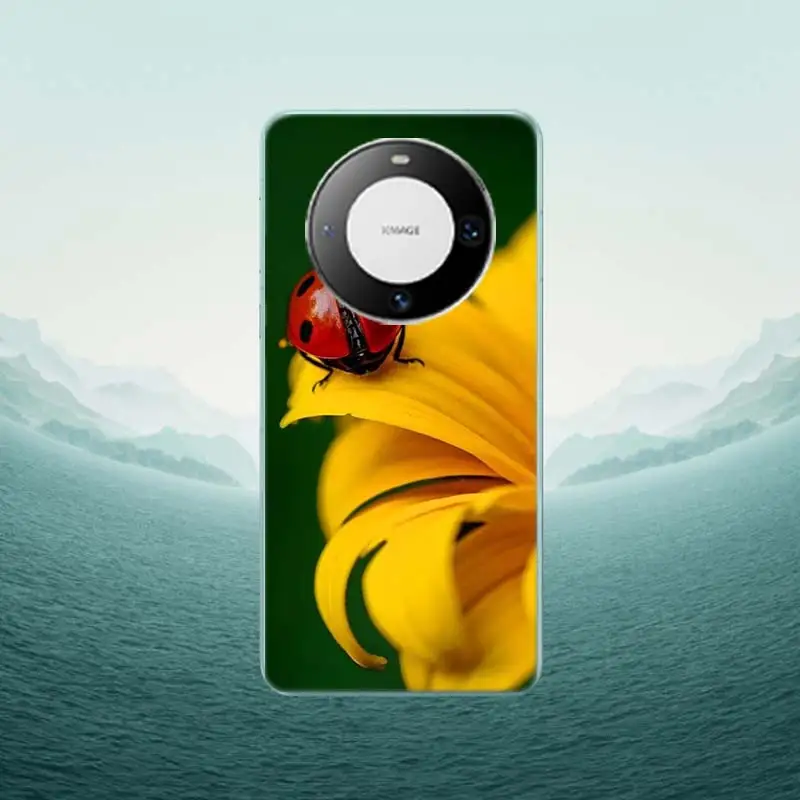 Insect Seven-star ladybug Painted Colourful Phone Case For Huawei P40 Lite P50 Pro P30 P20 P10 Y5 Y6 Y7 Y9 2019  Mate 30 20 Pro