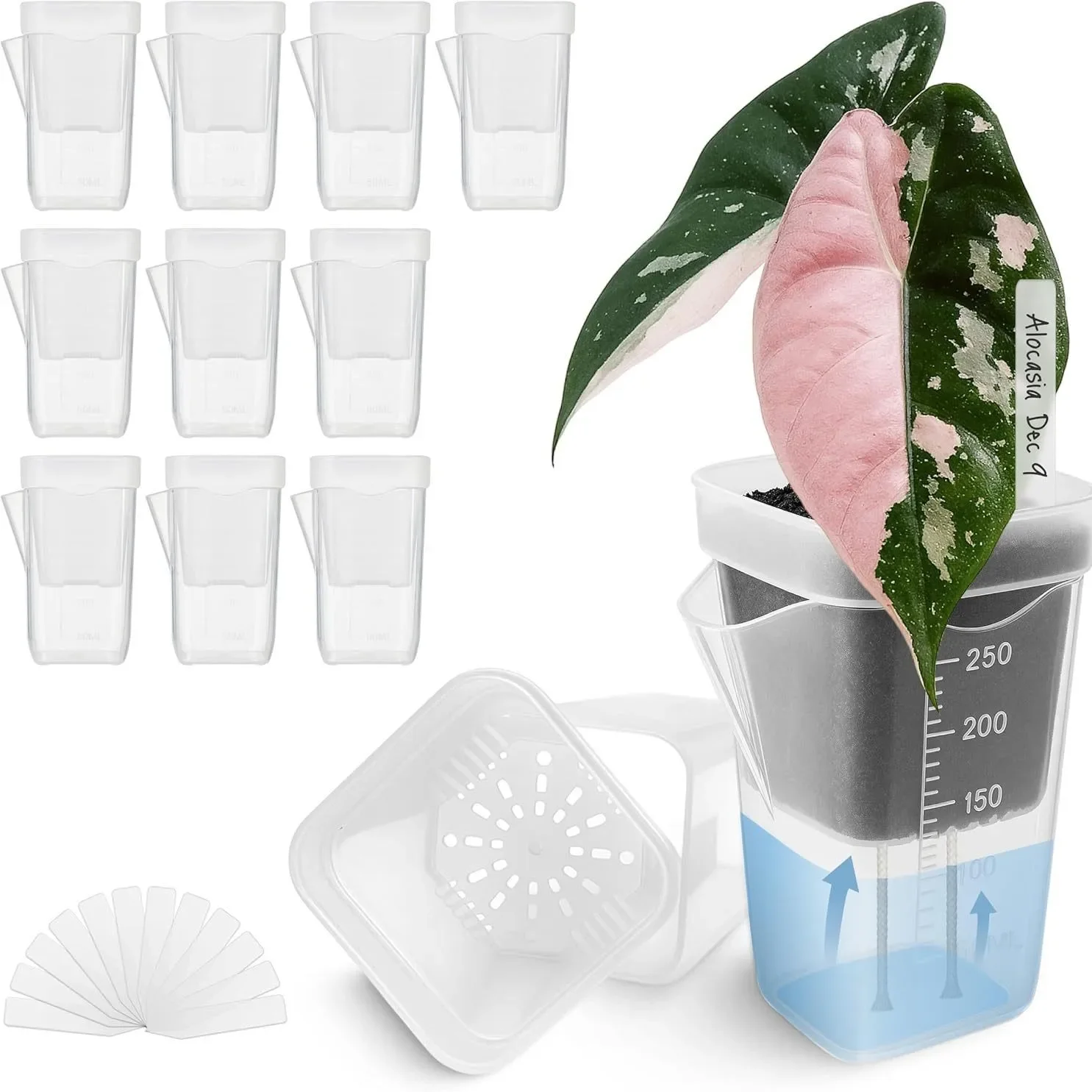 12pcs Self Watering Plant Pots, Mini Seedlings Pots, Flowerpot Translucent Plastic Planters Plant Propagation Pot with Reservoir