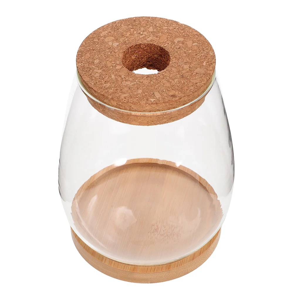 

1 set Water Propagation Station Eco Jar Terrarium Glass Container For Indoor Plants Micro Landscape Decor Diy Hydroponic Vase