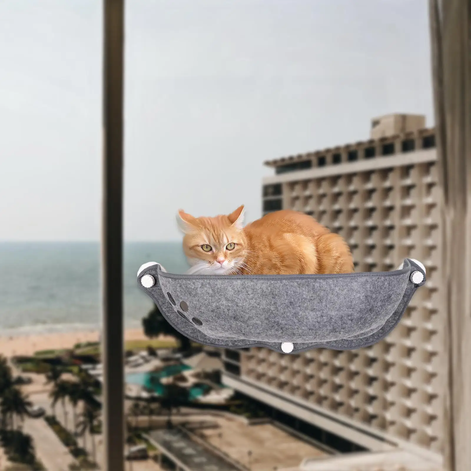 Cat Window Mount Hammock Bed Seat Perch Pet Suction Cup Glass Hanging Shelf