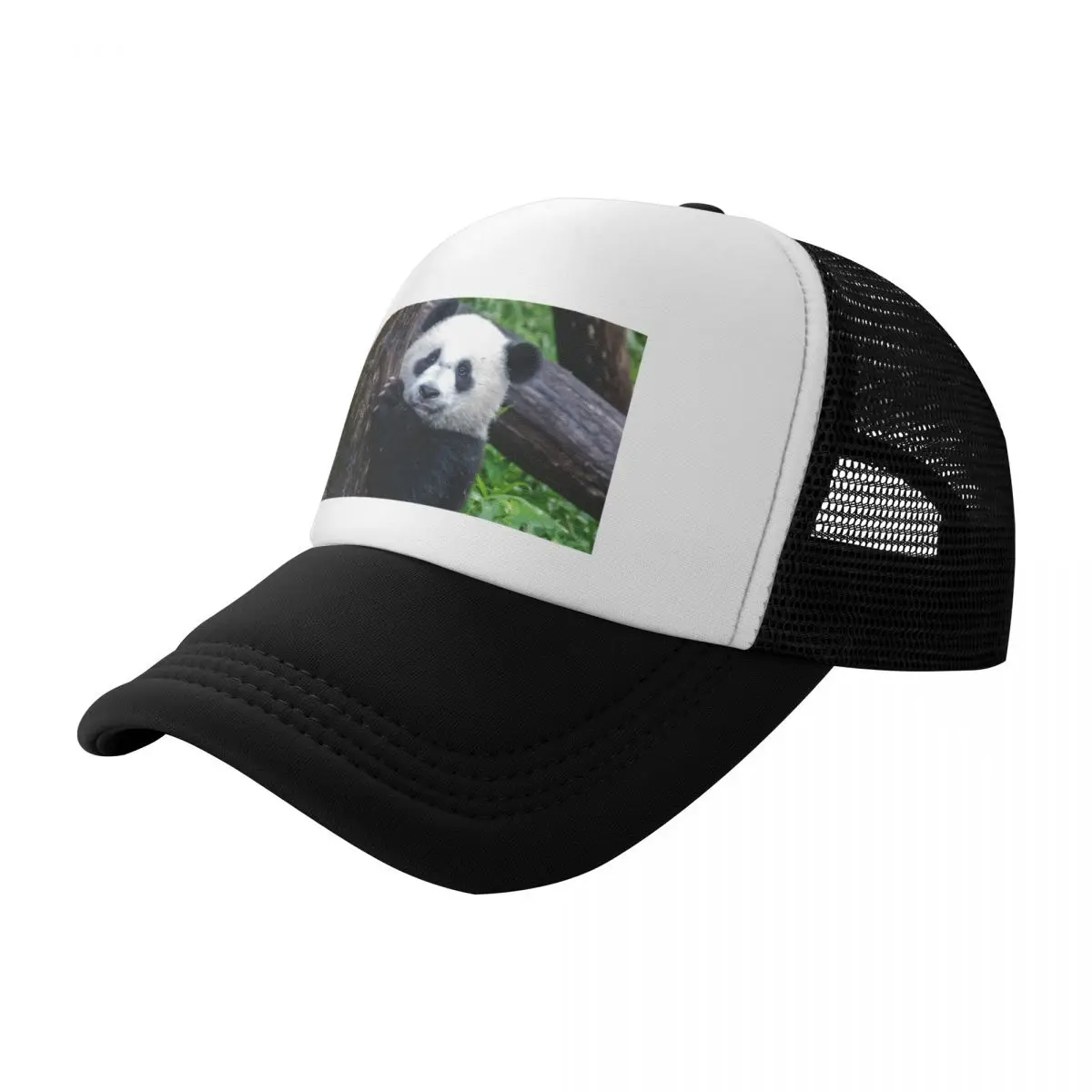 

Giant Panda Xiao Qi Ji at the National Zoo Baseball Cap Anime Cosplay New Hat Caps Male Women's