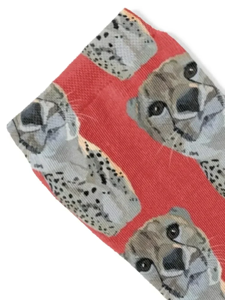 C is for Cheetah Socks gift with print Socks Male Women's