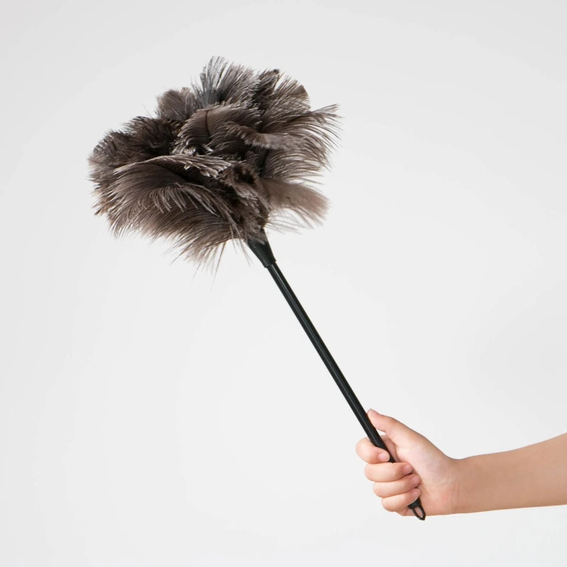 Brosse nettoyage en plumes d'autruche avec manche Long, dépoussiérage d'ordinateur pour maison, chambre à coucher, le