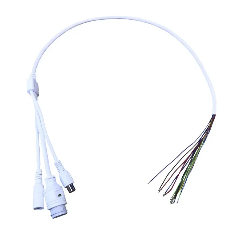 11-Core 70Cm Netwerkkabel Camera Staart Audiokabel Rj45 Plus Voeding Plus Audio
