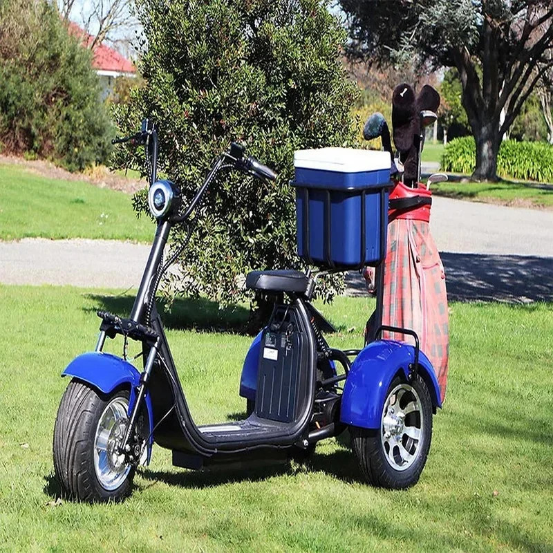 Stable Australia Market Hot Sale Factory Direct Di Sleek And Sturdy 2 Seater Kart Motor Carts Sc Seniors