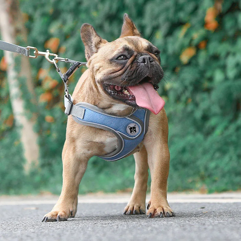 

Dog harness set with leash Reflective anti-breakaway vest-style harness Pet leash Small and medium-sized dog walking leash