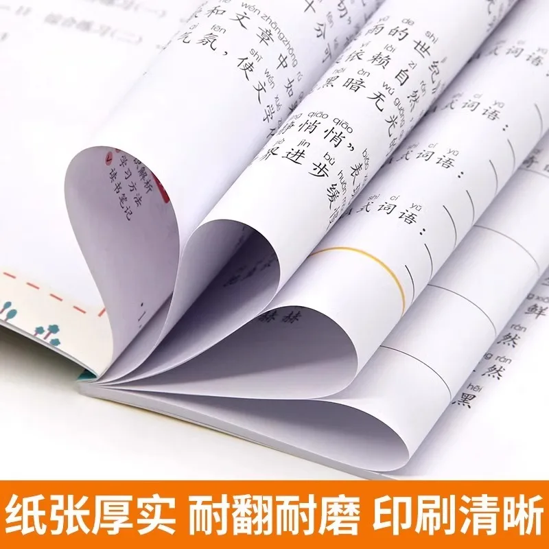 Complete Collection of Vocabulary: Elementary Chinese Sentence Practice, Overlapping Words and Quantifiers Workbook