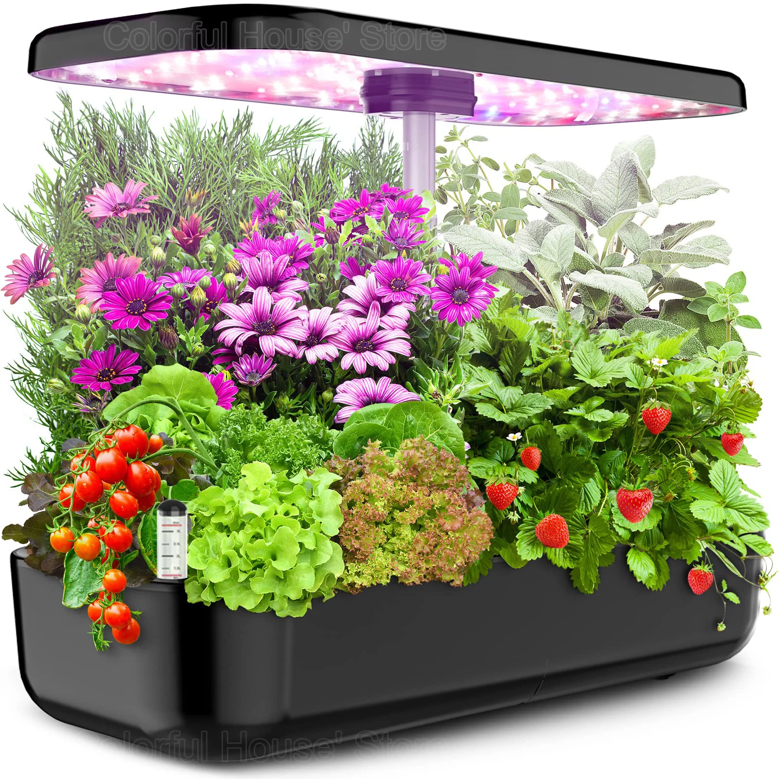 Sistema de cultivo hidropónico, Kit de jardín de hierbas para interiores, temporizador automático, luces LED de cultivo, bomba de agua inteligente