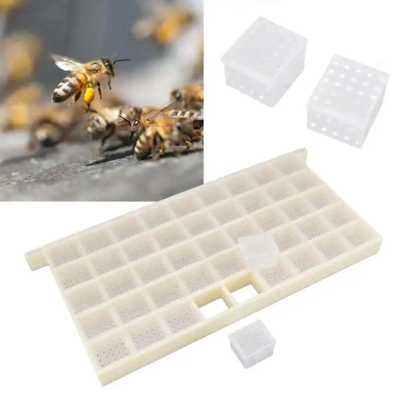 1 Set Plastic Queen Bee Transport & Storage Cage Frame, Beekeeping Tool for Queen Rearing Beehive Management