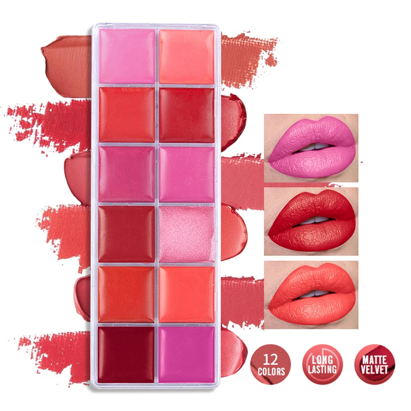 Palette de rouge à lèvres 12 couleurs, velours mat, hydratant, brillant à lèvres, imperméable, résistant aux couleurs