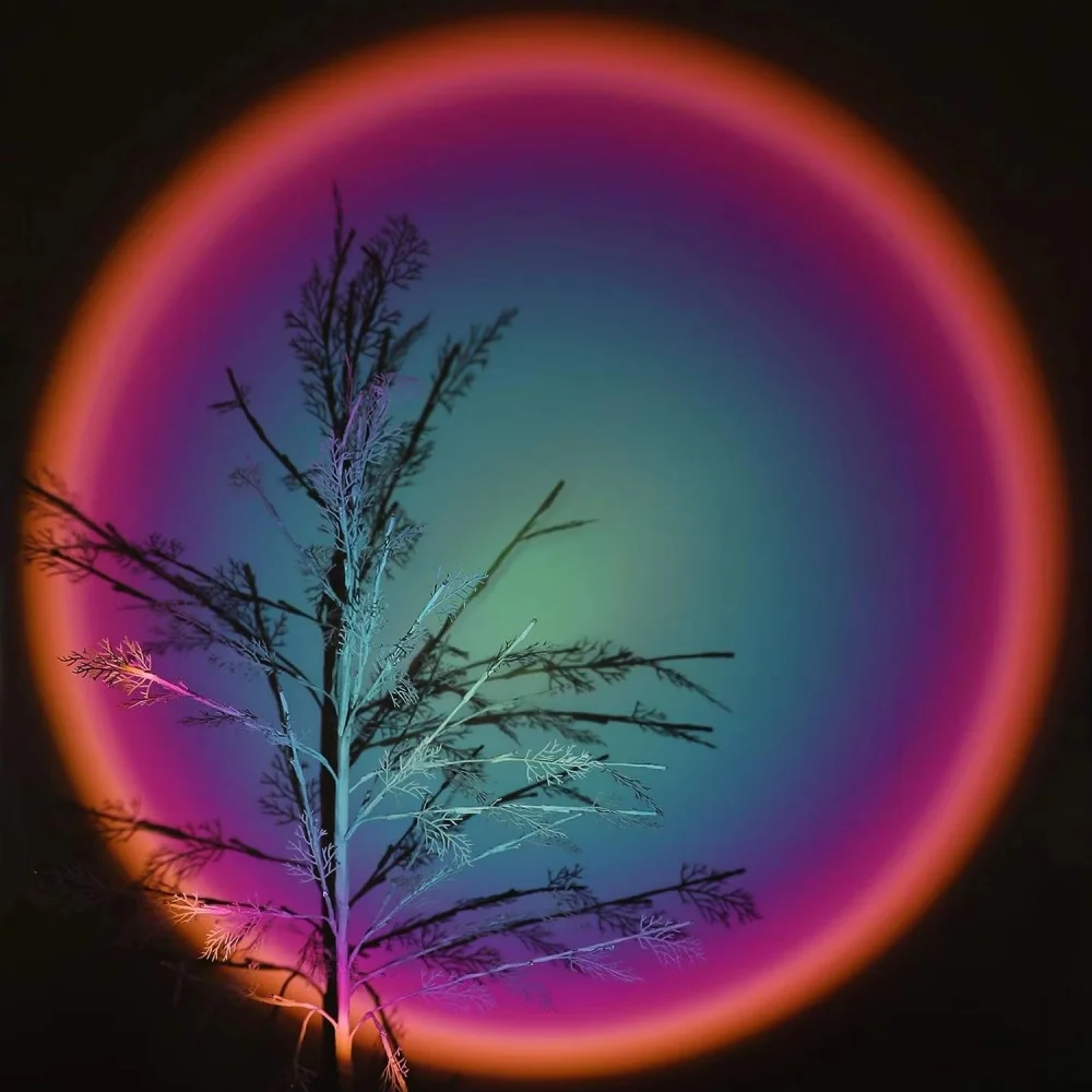 USB Sunset Light Lamp Self Photography Light LED Rainbow Neon Night Light Projector Photography Wall Atmosphere Light