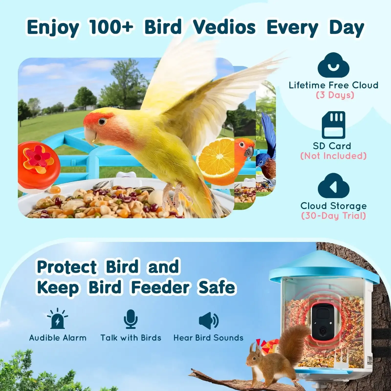 Smart Bird Feeder with Camera 2K HD AI Identify Bird Species Auto Capture