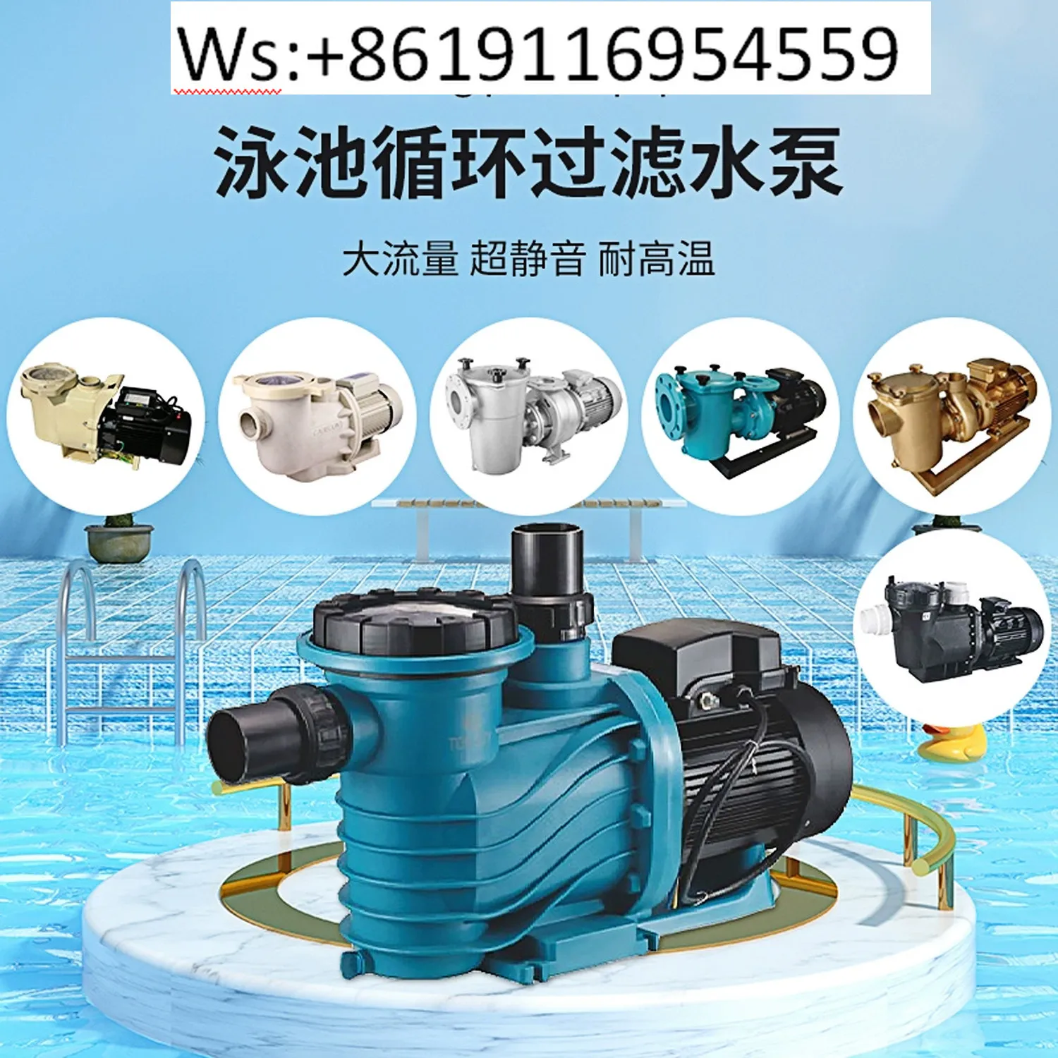 Swimming Pool Pump Circulation Filtration System Centrifugal Pump Suction Pump