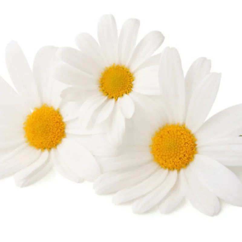 

Remote Control Pickup High-speed Drift Auxiliary Gyro for WPL D12 RC Car