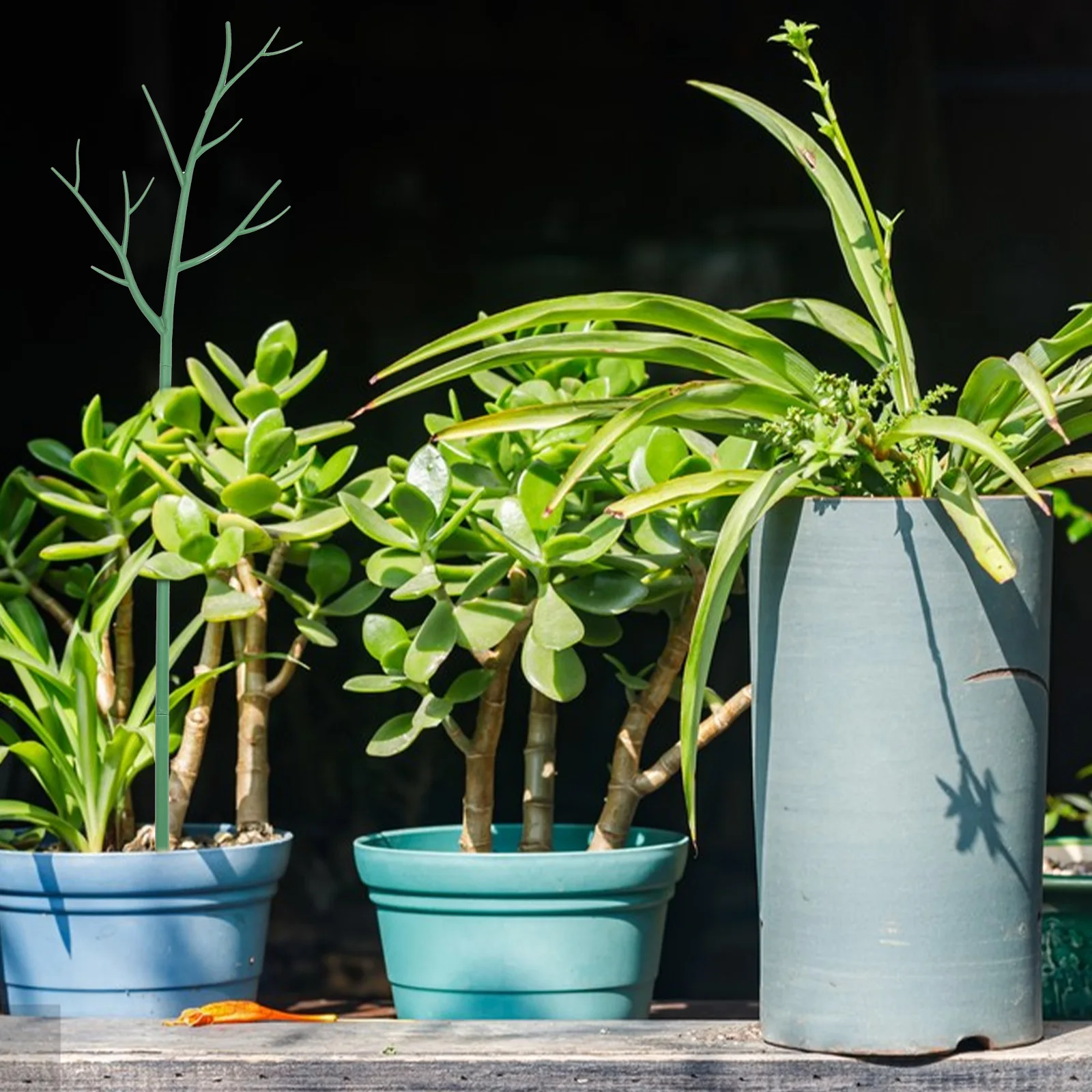 

1Set Plant Stake Climbing Scaffold Adjustable Stem Support Pole for Potted Plants Garden Balcony Outdoor Support Frame