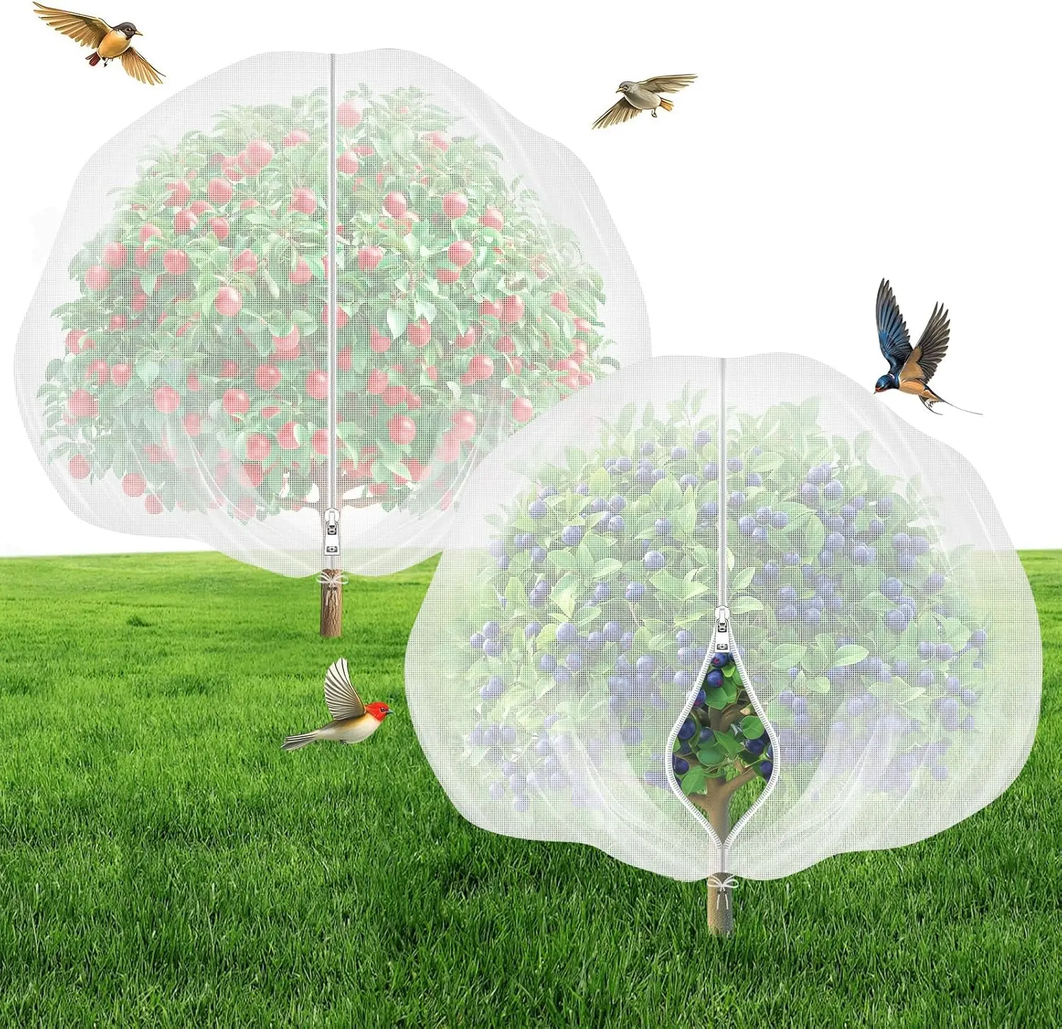 

Сетка для фруктовых деревьев с молнией и шнурком - Защитная сетка для садовых растений 2,4x2,4 м от вредителей: цикад, птиц, белок, оленей - Защита от насекомых