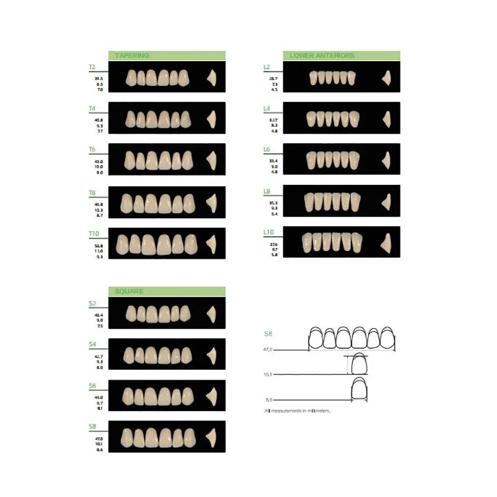 4/12/16sets /box Dental Resin Teeth Posterior Anterior Full Mouth Denture Teeth Large Size 2 Layers Economical Teeth