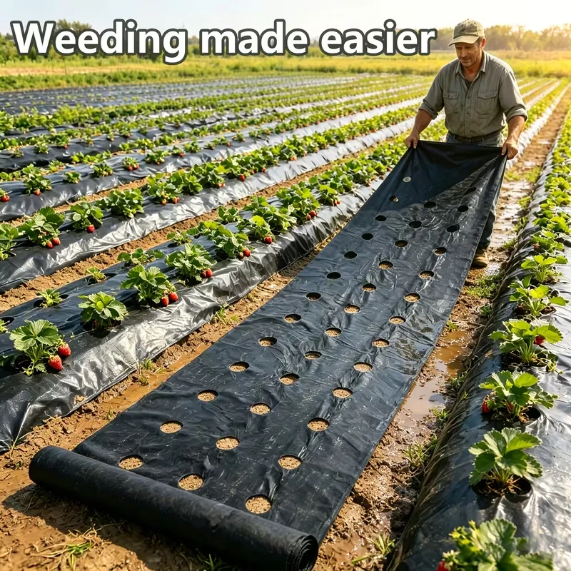 Durable Black Perforated Weed Barrier Fabric, Permeable and Breathable, Can Prevent Weeds, Easy to Install and Maintain